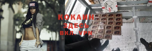 круглые Аркадак