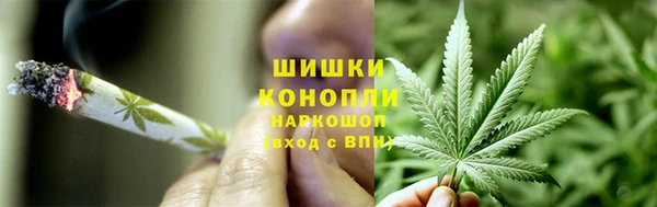 круглые Аркадак