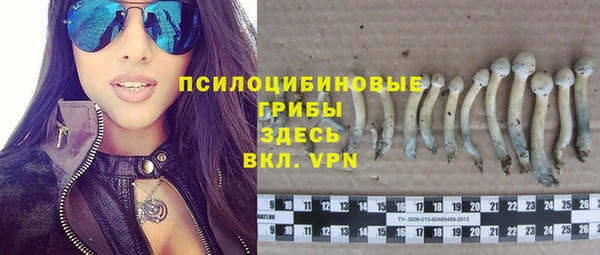 синтетический гашиш Алексин