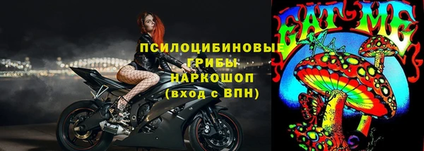 ПСИЛОЦИБИНОВЫЕ ГРИБЫ Армянск