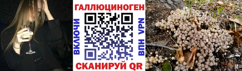 Галлюциногенные грибы мухоморы  Крым 